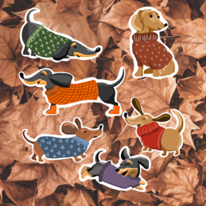 Dachshund Stickers